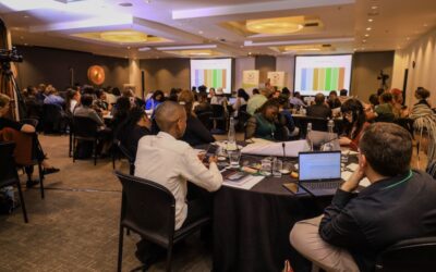 Reflections on Building Climate-Informed Economic Pathways for South Africa